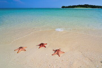 Little Boracay Calatagan Batangas Day tour