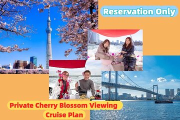 180 Minutes Private Cherry Blossom Viewing Cruise Plan