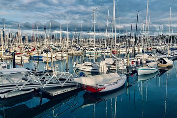 Auckland City Top Sights Half Day Tour - Small Group 