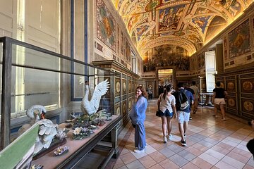 Vatican Museum, Sistine Chapel and Optional Basilica tour