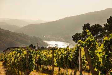 Douro Valley Exclusive Green Wine Tour