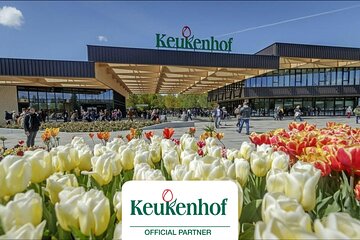 Private Keukenhof Tulip Fields Tour From Amsterdam(Skip-The-Line)