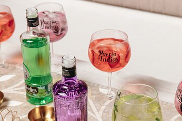 Guided Tour with 5 GIN Tasting and Gin Tonic