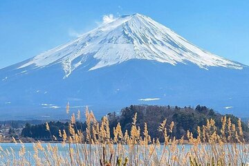 Mount Fuji Day Private Tour With English Speaking Driver