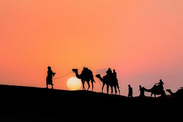 Desert Agafay & Sunset & Camel Ride & Dinner Show 