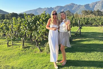Private Luxury Wine Tour with three Wine Tastings From Cape Town 