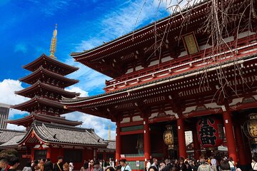 Tokyo Morning Highlights: Shibuya, Asakusa, Meiji Shrine & More!