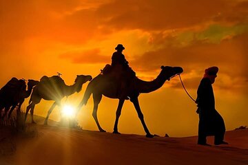 Camel ride Marrakech