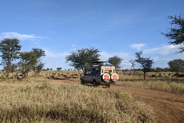 Explore Ngorongoro with 5 Day Guided Tour from Kilimanjaro