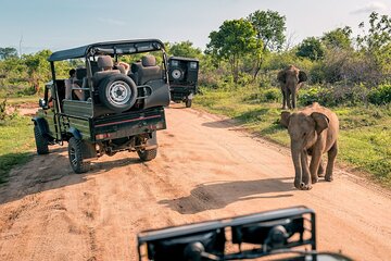 Explore the best Big 5 Aquila Safari Tour and Wine Tasting