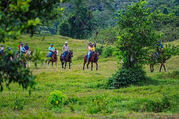 Pacos Horseback Ride Through Arenal’s Forest and Cross Rivers