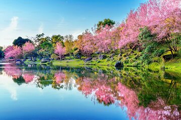 Tokyo Private Tour with Native Japanese Driver