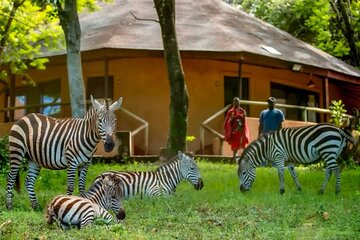 9 Days Kenya-Tanzania Safari