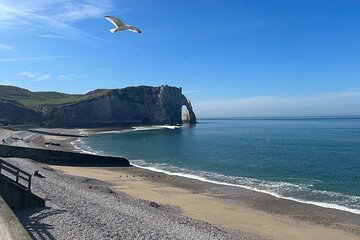 Normandy Day Trip: Rouen , Etretat , Deauville from Paris 