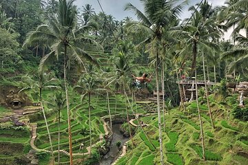 Ubud Central Bali Private Group Tour
