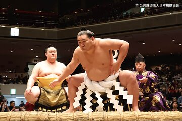 Tokyo Grand Sumo Tournament Viewing Tour