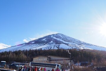 Mount Fuji Scenic Twin Lakes and Onsen Experience