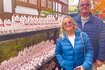 PM Tokyo Gotokuji Cat Temple Shinjuku Cat Cafe and 3D Cat Tour