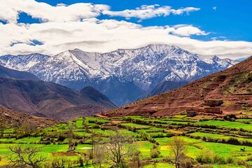 Atlas Mountains and Waterfalls Day Trip from Marrakech