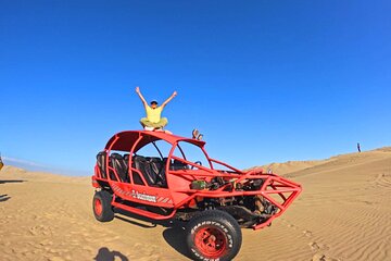 Visit Paracas Islas Ballestas Ica Huacachina 1 day trip