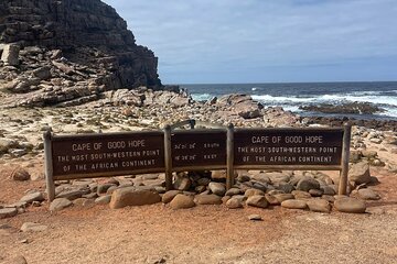 Cape Point Cape of Good Hope and Penguins Private Tour