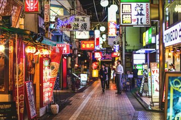 Tokyo: neon lights Shinjuku and Shibuya