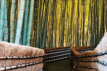 Kyoto: Arashiyama, bamboo forest and beyond