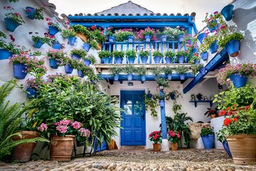 10 Hour Cordoba Tour from Seville with Free Photography