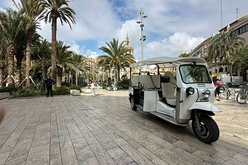 Valencia: Visit the Historic Center of Valencia in Tuk Tuk