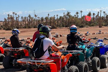Quad Experience in Marrakech, Tea Stop, and Photo with Palm