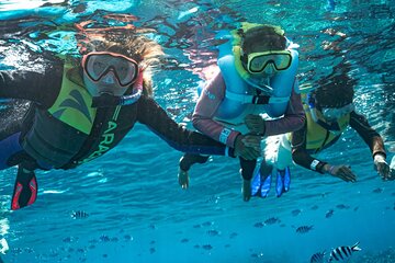 Kuata Island Marine Conservation Experience