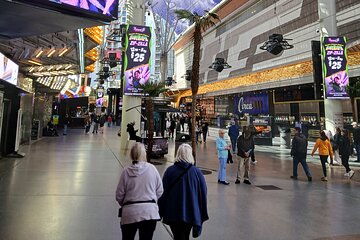 Las Vegas Picturesque Tours for 90 minutes 