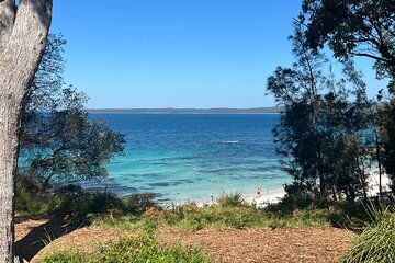 Jervis Bay Private Tour - Pick up & Drop off
