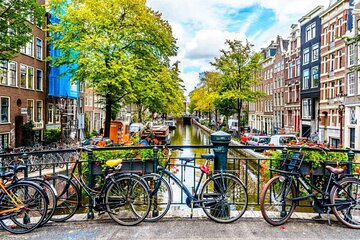 Amsterdam Art Walk: City Stories & Parkside Painting