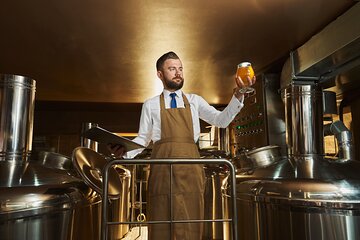 Czech Beer Tasting and Pilsner Brewery Tour