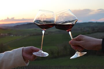 Winery tour with panoramic aperitif in Chianti
