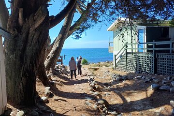 Shore Excursion Scenic drive & guided walk Godley Head & City