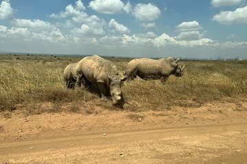 Nairobi National Park, Kenyan Lunch and Shopping Half Day