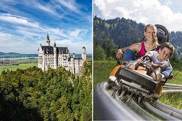 Private Neuschwanstein Castle Tour - optional Alpine Coaster