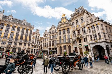 Brussels Contrasts Tour and Leuven Excursion 