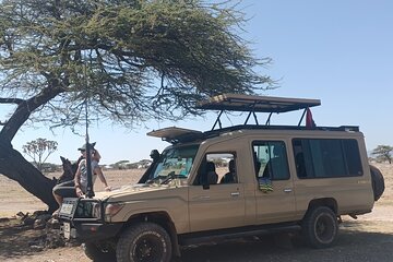 5 Day Kenya Budget Safari Naivasha, Nakuru Lakes and Masai Mara