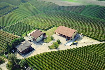 Wine tasting with cellar tour between Verona and Lake Garda
