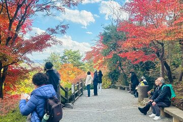 Kyoto Private & Customizable Tour with English-Speaking Driver