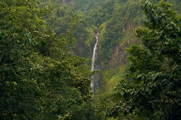 Explore Materuni Waterfalls and Coffee 1 Day Tour