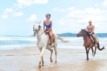 Gallop Along the Shore Horseback Riding Adventure in Puerto Plata