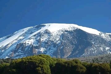 Full Day Kilimanjaro Famous Route Hike Tour
