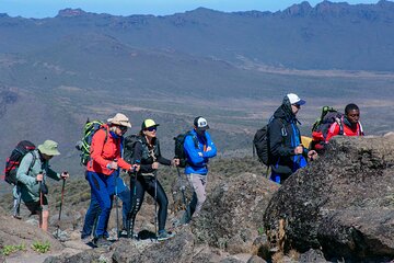 8 Days Kilimanjaro Climb via Lemosho Route Shared Tour
