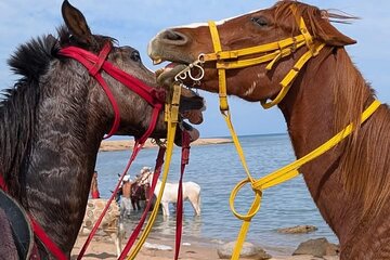 Horse Riding
