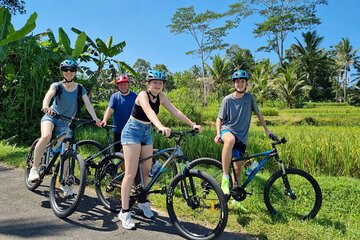 Ubud: Downhill Cycling with Volcano, Rice Terraces and Meal