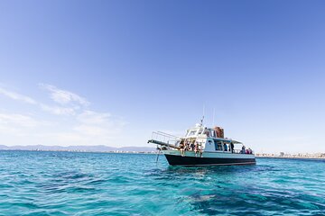 Shared Palma de Mallorca Boat Tour Package